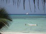   : Zanzibar 2011